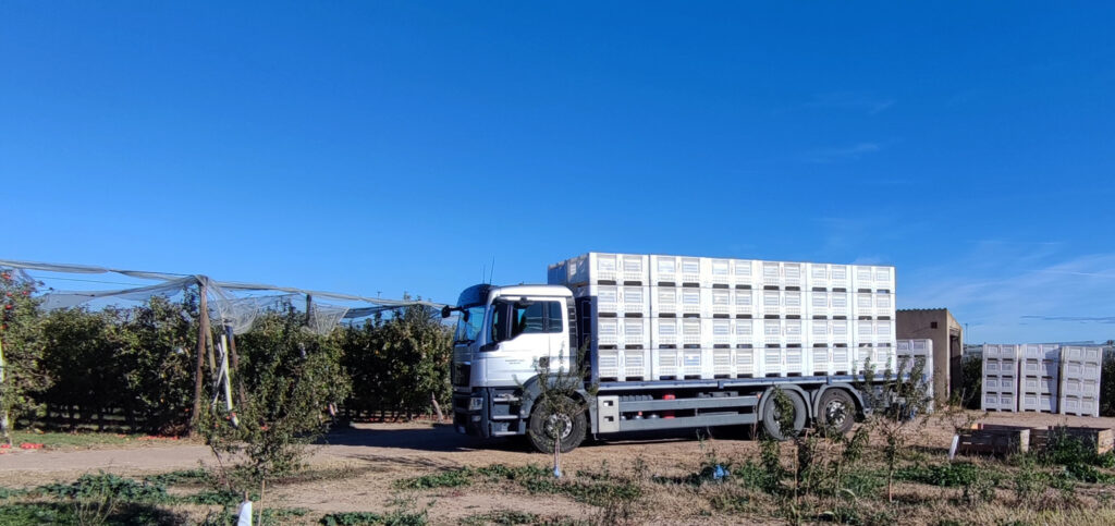 Camió al camp